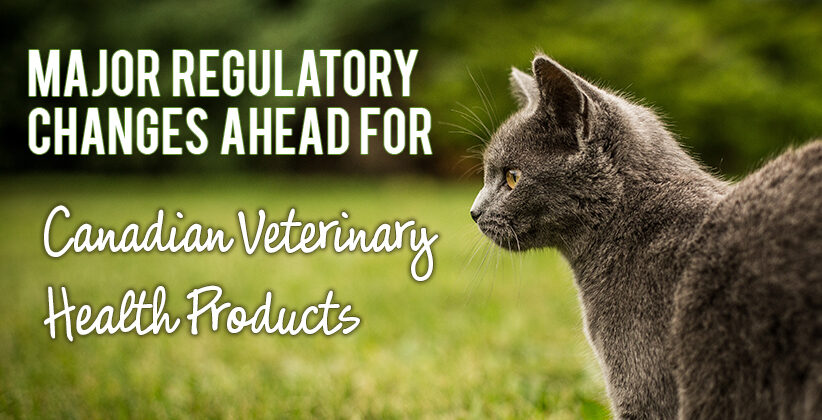 Major Regulatory Changes Ahead for Canadian Veterinary Health Products!