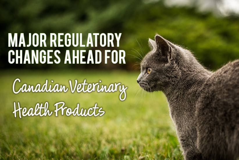 Major Regulatory Changes Ahead for Canadian Veterinary Health Products!