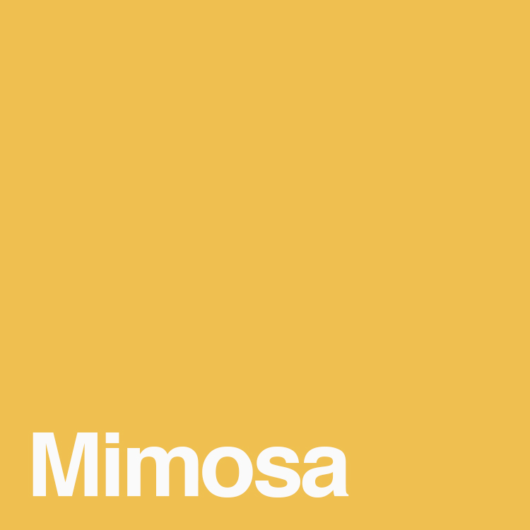 Mimosa color