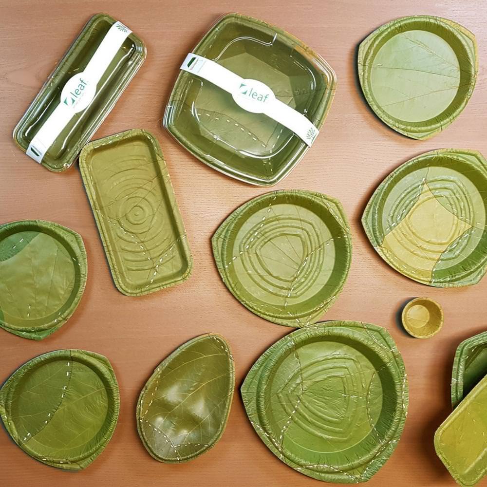 Plates and bowls made out of leafs