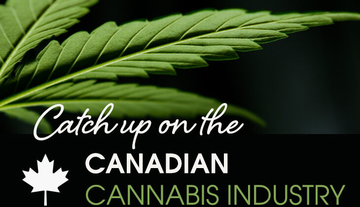 Catch up on the Canadian Cannabis Industry!