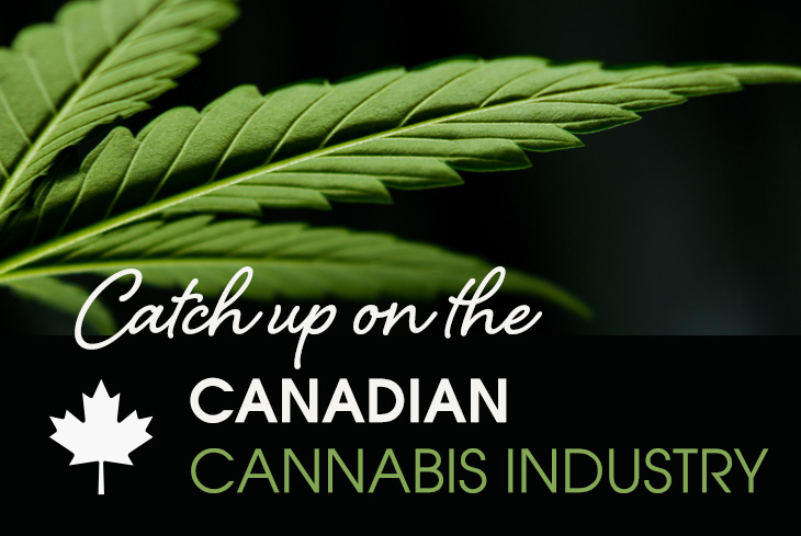 Catch up on the Canadian Cannabis Industry!