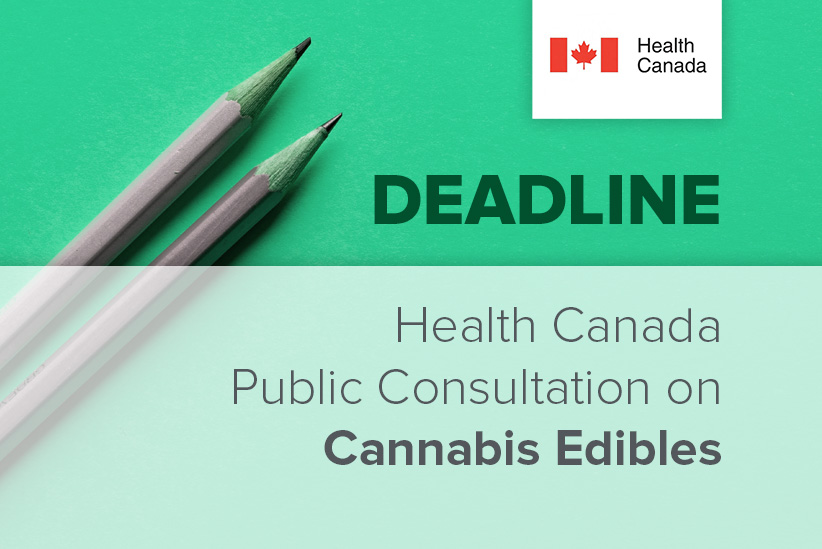 DEADLINE: Public Consultation on Cannabis Edibles