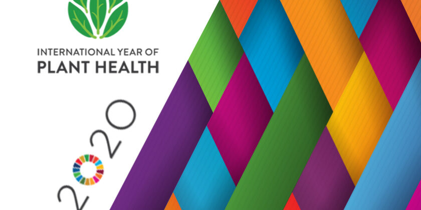 2020: International Year of Plant Health