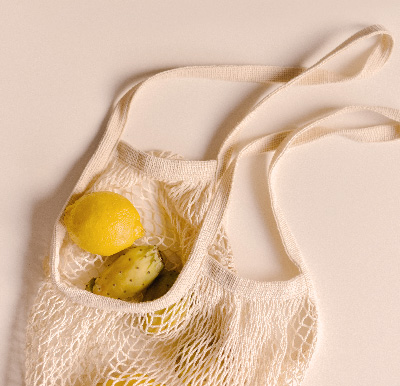 Fruit in mesh bag