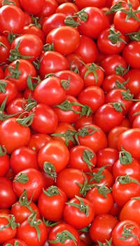 Tomatoes