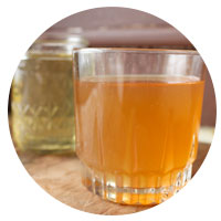 kombucha