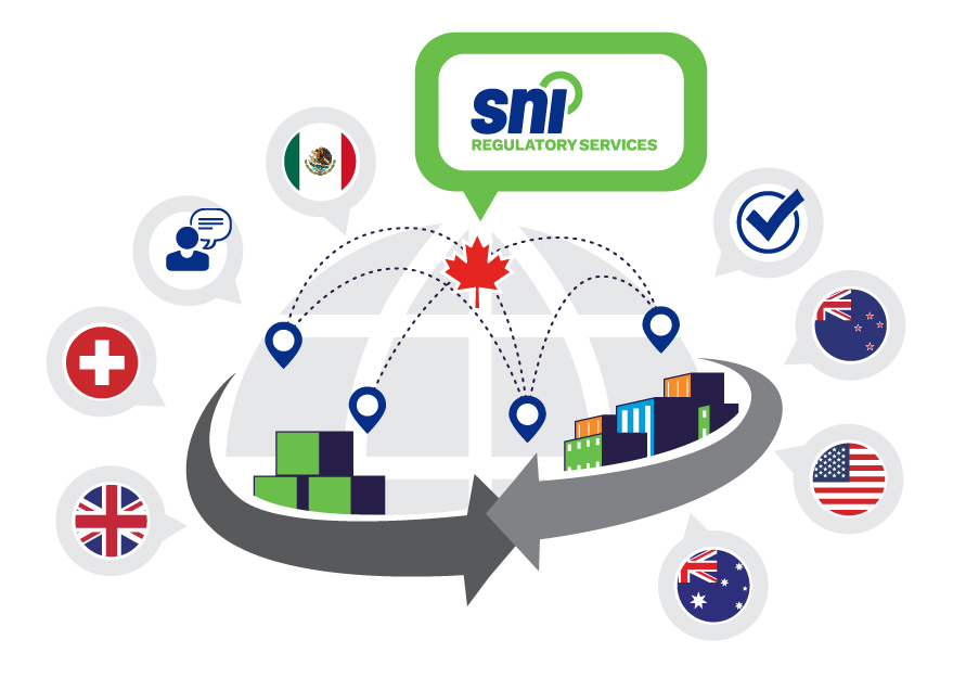 Illustration of a globe with countries highlighted and the SNI regulatory services