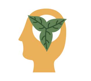 Illustration of a head with leaves in the middle.