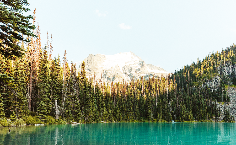 Landscape view of a lake and trees with mountain in the back