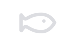 fish icon