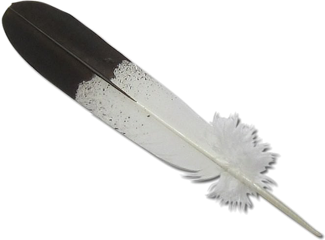 eagle feather