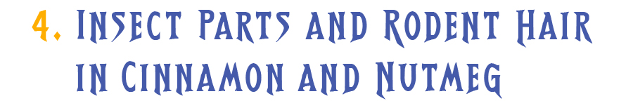 4.	Insect Parts and Rodent Hair in Cinnamon and Nutmeg