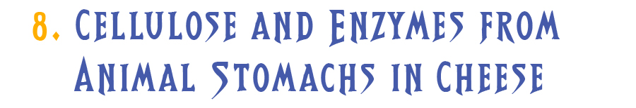8.	Cellulose and Enzymes from Animal Stomachs in Cheese