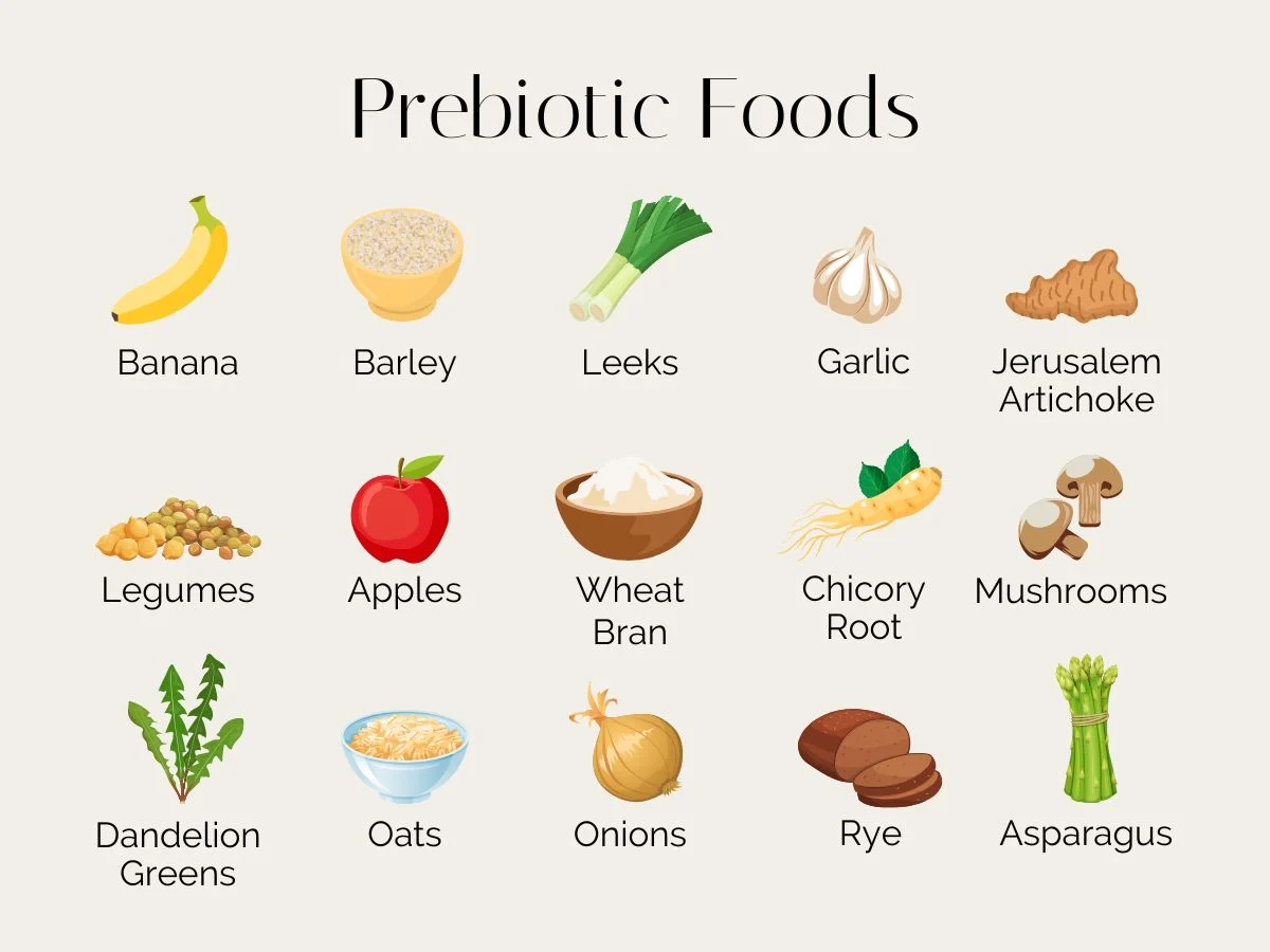 Photo of Prebiotic foods- bananas, leeks, garlic, apples, barley, Jerusalem artichoke, legumes, mushrooms, wheat bran, chicory root, asparagus, rye bread, onions, oats, dandelion greens