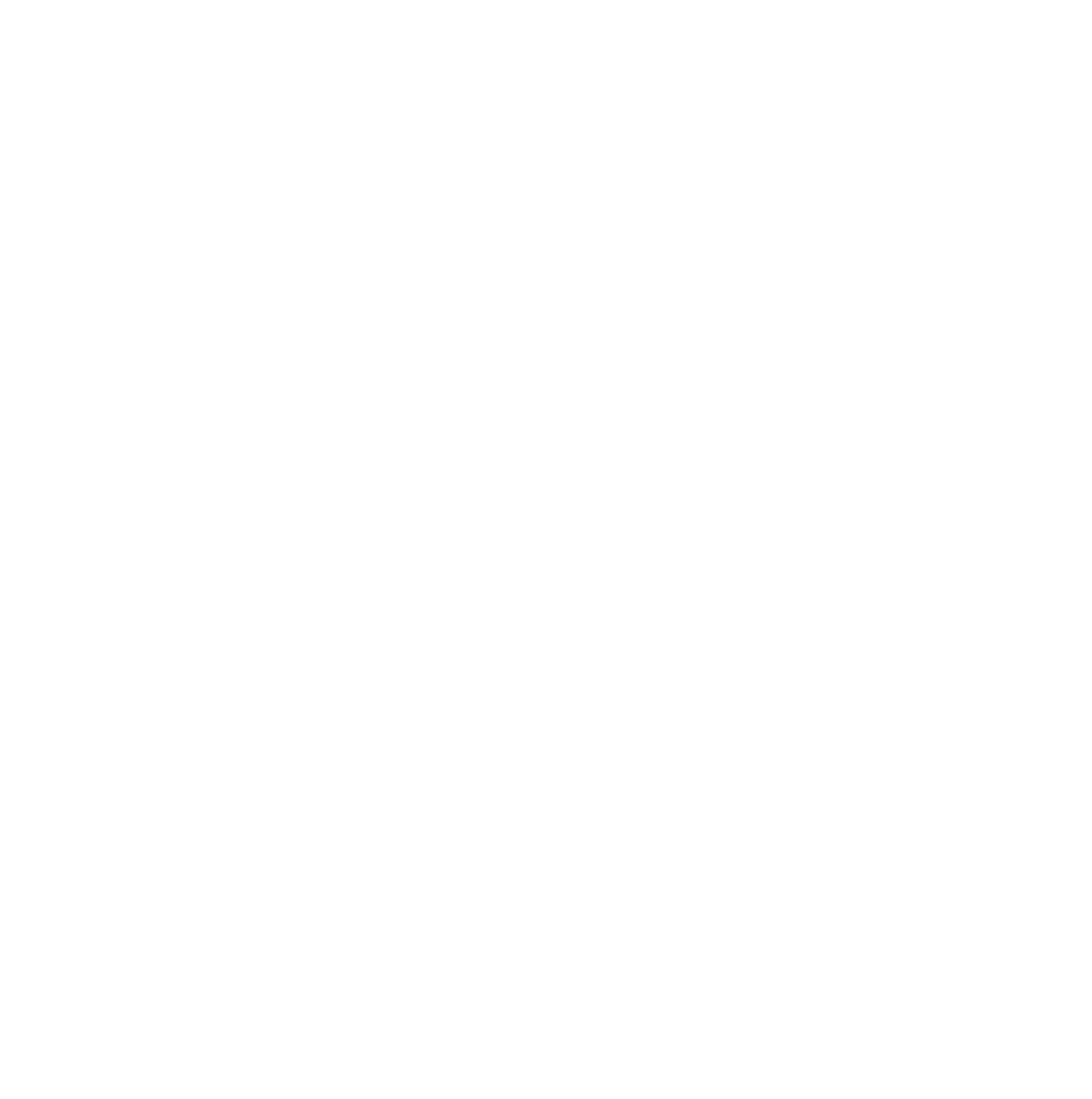 Verification icon