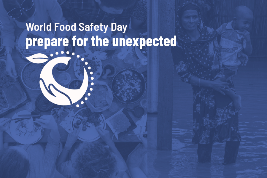 World Food Safety Day logo on a Blue photograph