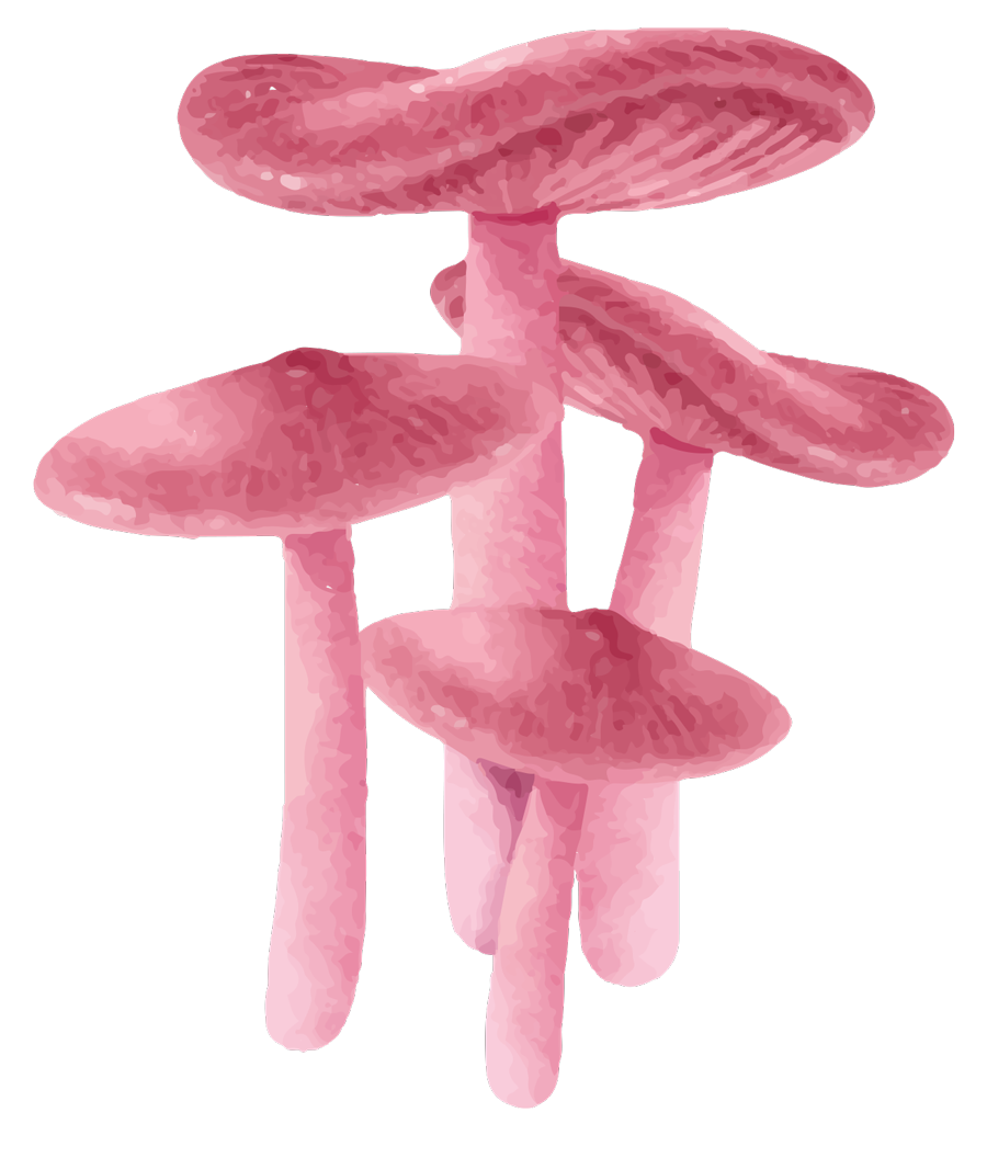 Purple mushroom illustration