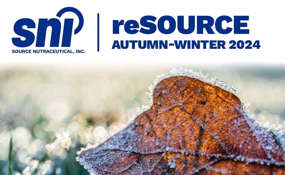 An autumn leaf on the ground with frost - RESOURCE AUTUMN-WINTER 2024 (Heading)