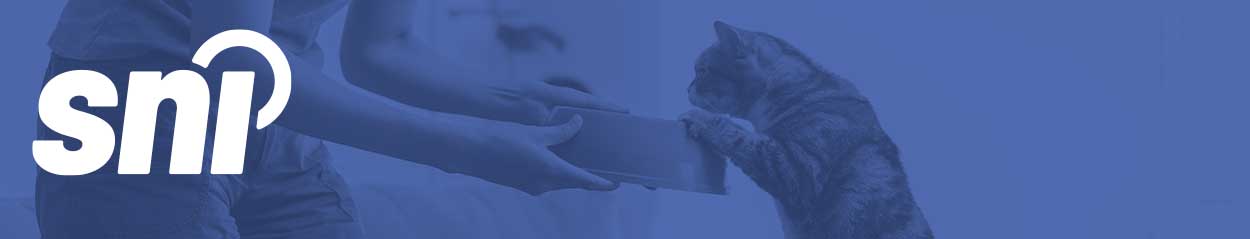VHP Regulations: An Overview of Veterinary Health Products in Canada