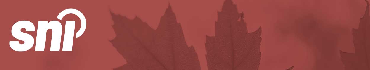 Guidelines for the Use of Maple Leaf and Canadian Flag on Products – Industry Insights