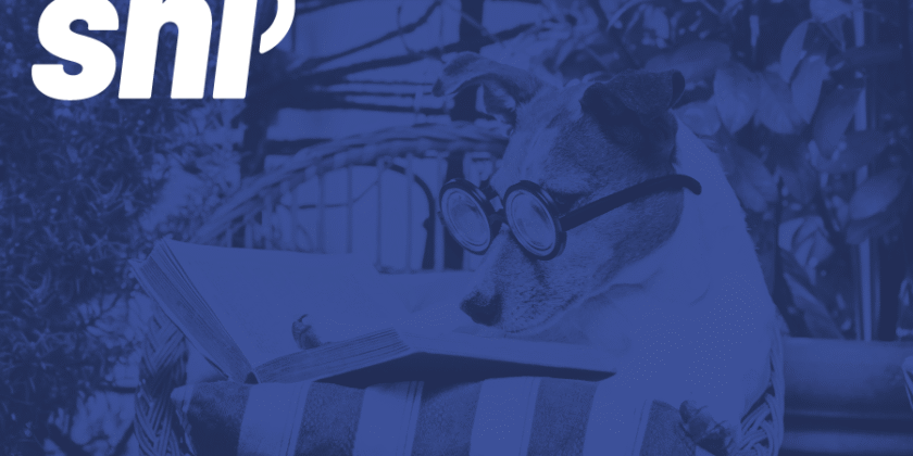 VHP Regulations: What Manufacturers of Pet Supplements Need to Know for Successful Market Entry