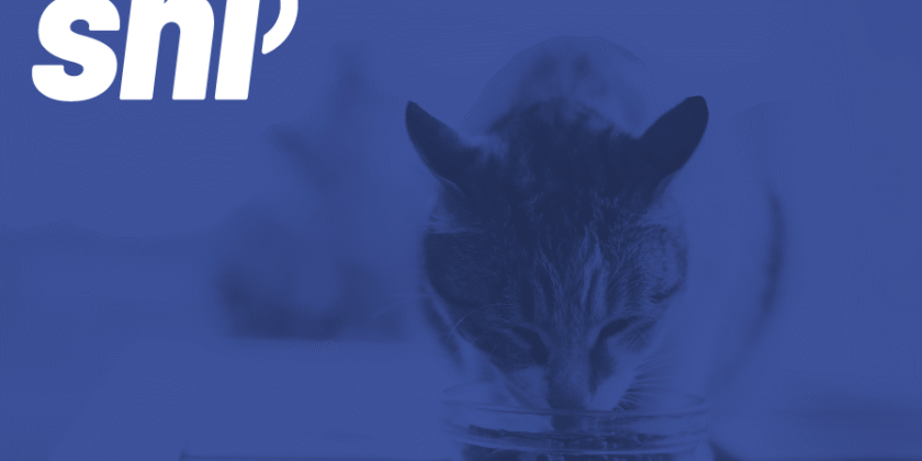 How to Navigate Canada’s Pet Food Regulations in 2025