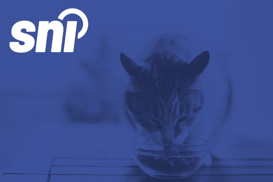 How to Navigate Canada’s Pet Food Regulations in 2025