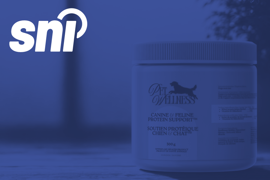 Veterinary Health Product (VHP) Labelling Requirements in Canada: What You Need to Know