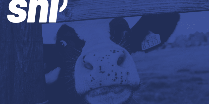 Pet Food vs. Livestock Feed in Canada: What You Need to Know