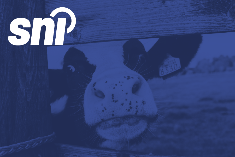 Pet Food vs. Livestock Feed in Canada: What You Need to Know