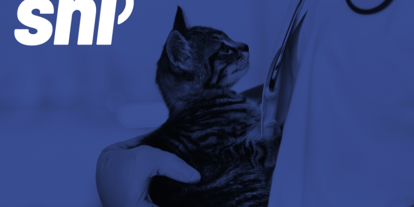 How to Notify a Veterinary Health Product (VHP) in Canada: Avoiding Delays, Rejections, and Costly Mistakes