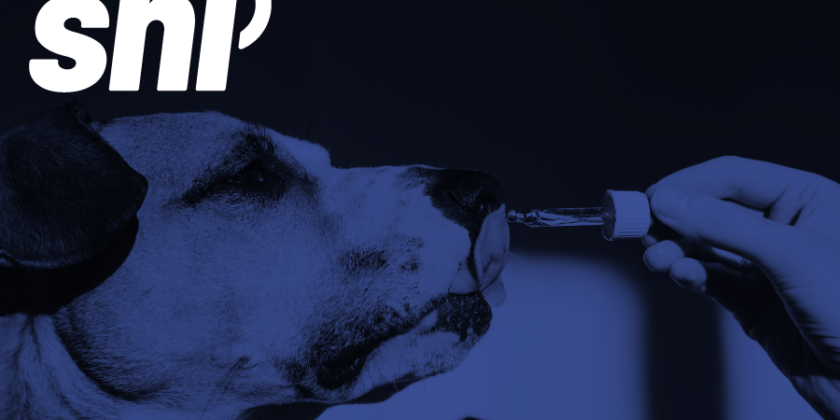 VHPs vs. Veterinary Drugs in Canada: What Influences Product Classification