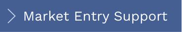 MARKET ENTRY SUPPORT